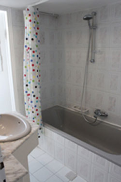 Bathtub with shower